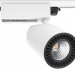 103973_ANDRIA big wit